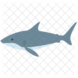 Shark  Icon