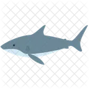 상어 물고기 바다 동물 아이콘