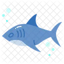 Shark Animal Ocean Icon