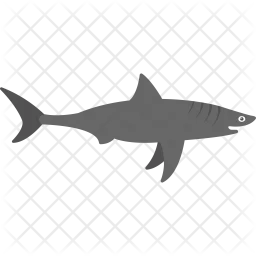 Shark  Icon