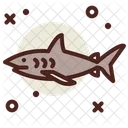 Shark Fish Animal Icon