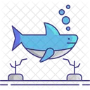 Shark Shark Fish Fish Icon