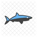 Shark Animal Wildlife Icon
