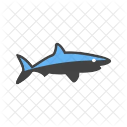 Shark  Icon