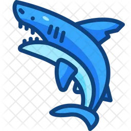 Shark  Icon