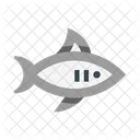 Shark White Shark Fish Icon