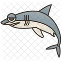 Shark Sea Culture Fish Icon