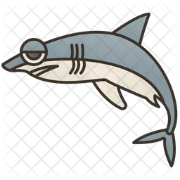 Shark  Icon