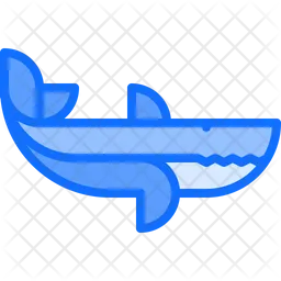 Shark  Icon