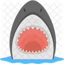 Shark Face Dangerous Icon