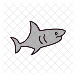 Shark  Icon