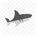 Shark  Icon