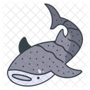 Shark Whale Beach Icon