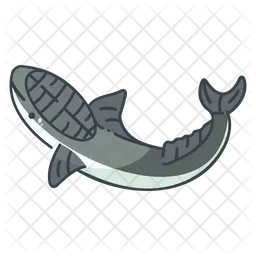 Shark  Icon