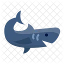 Shark Fin Fish Icon