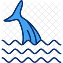 Shark Fin Whale Icon
