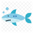 Shark  Icon