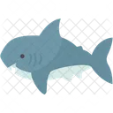 Shark Jaws Danger Icon