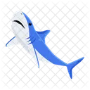 Prionace Glauca Blue Shark Shark Fish Icon