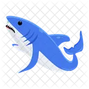 Prionace Glauca Blue Shark Shark Fish Icône