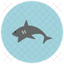 Shark Animal Icon