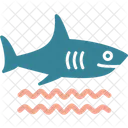 Shark Sea Sea Shark Icon
