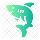 Shark Fish Animal Kingdom Icon