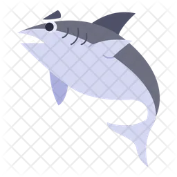 Shark  Icon