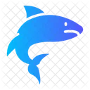 Shark Predator Marine Icon