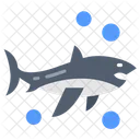 Shark Fish Shark Attack Icon