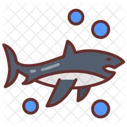 Shark  Icon