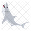 카카로돈 카카리아 백상어 상어 물고기 아이콘