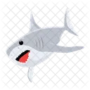 카카로돈 카카리아 백상어 상어 물고기 아이콘