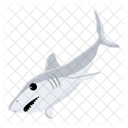 Shark Fish  Icon