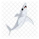 Shark Fish  Icon