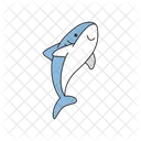 Shark flat icon on white background  Icon