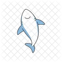 Shark flat icon on white background for web  Icon