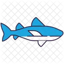 Shark Apex Predator Predator Icon