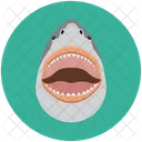 Shark Aquatic Animal Fish Icon