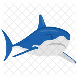 Shark  Icon