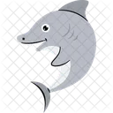 Shark  Icon