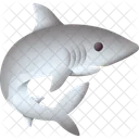 Shark Fish Animal Icon