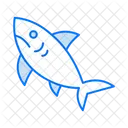 Shark  Icon