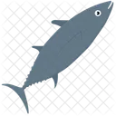 Shark Fish Animal Icon