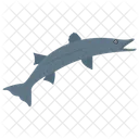 Shark Fish Animal Icon