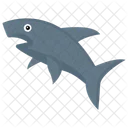 Shark Fish Animal Icon