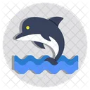 Fish Dolphin Whale Icon