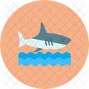 Shark Sea Sea Shark Icon