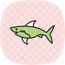 Shark Wildlife Ocean Icon