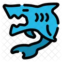 Shark Fish Predator Icon